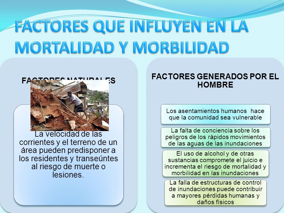 El té contra el alcoholismo